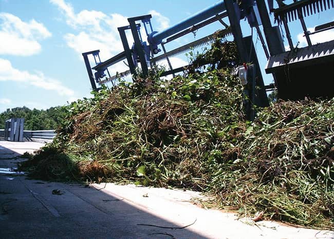 Food + Storm Intro Image Davis Pond Rakes With Hurricane Debris Debris removal